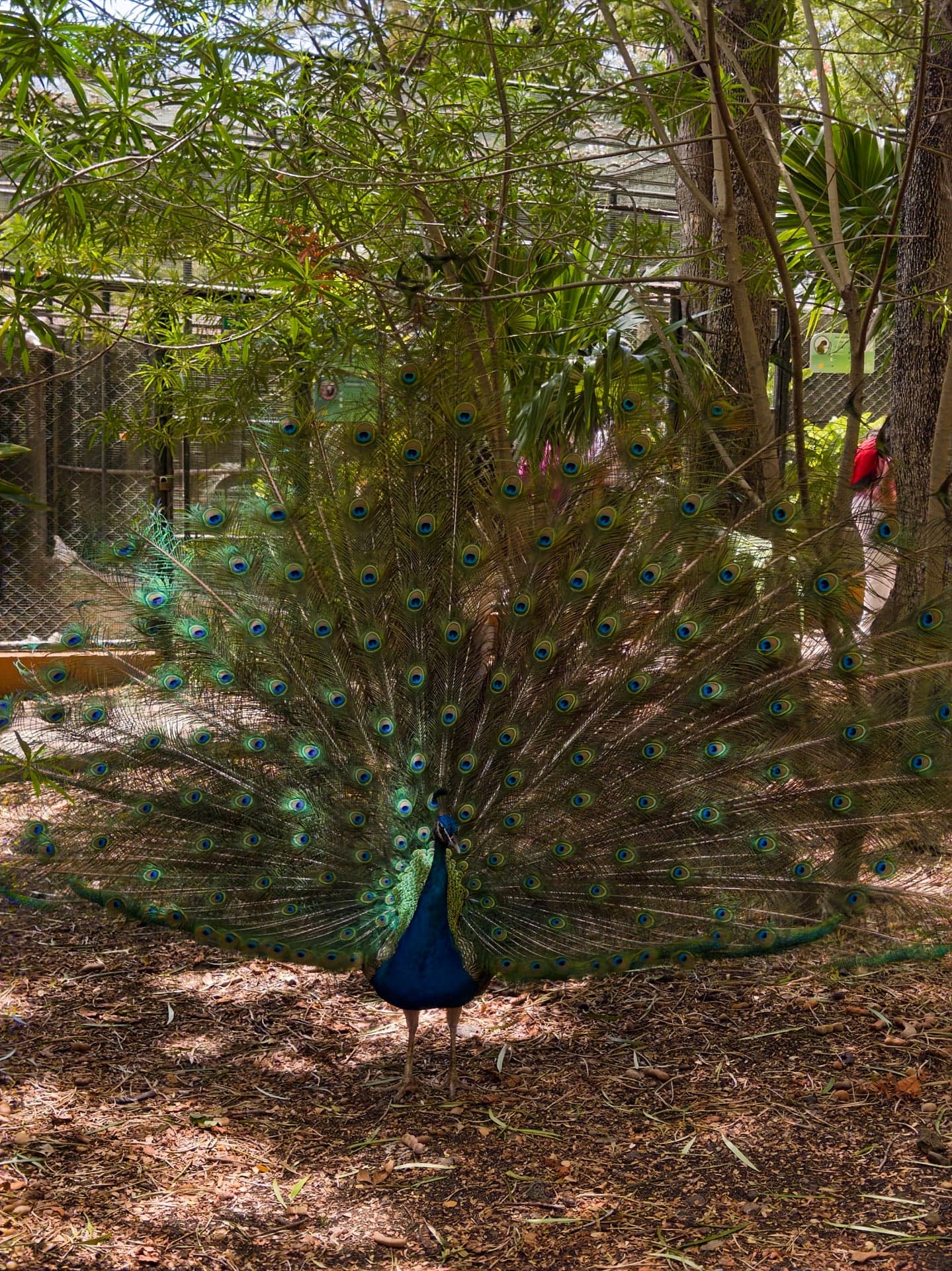 Casela Nature Leisure Park