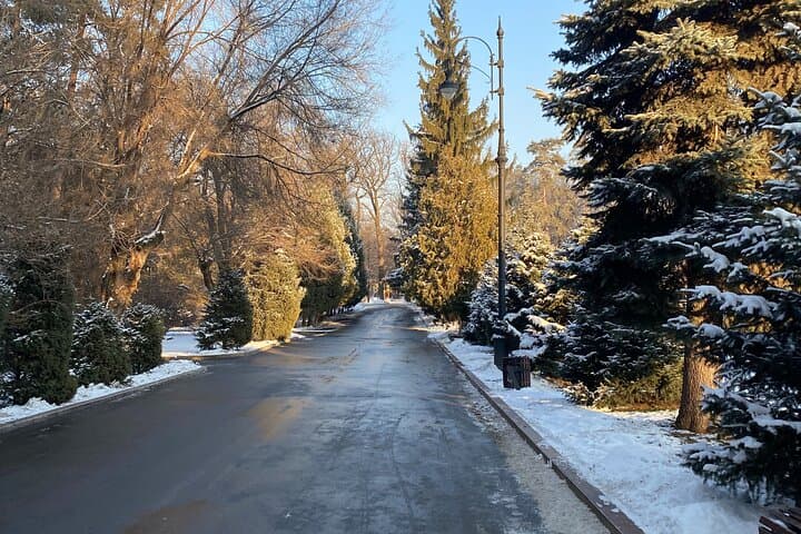 Central park in winter