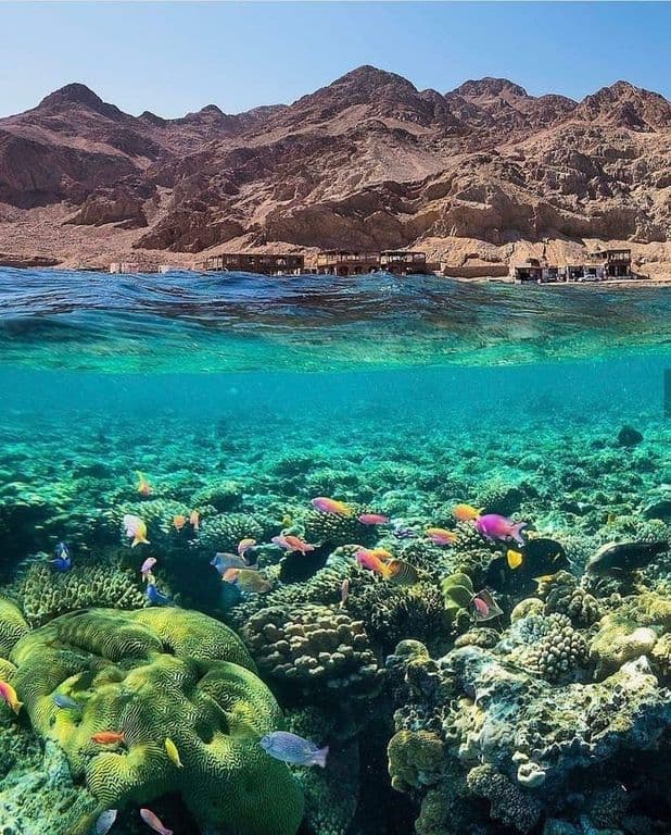 Tourism in Sharm El Sheikh